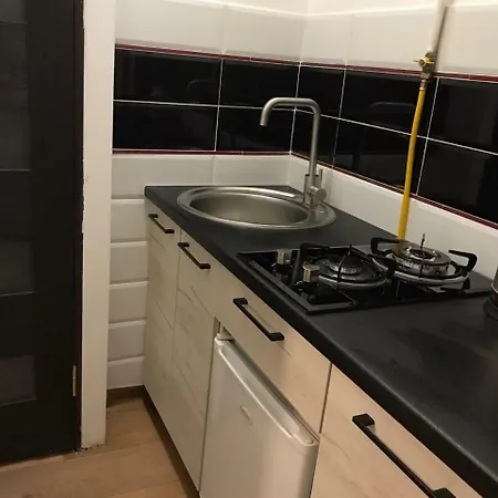 Apartment Ruska Lviv