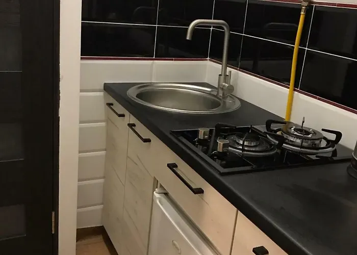 Apartamento Ruska Lviv